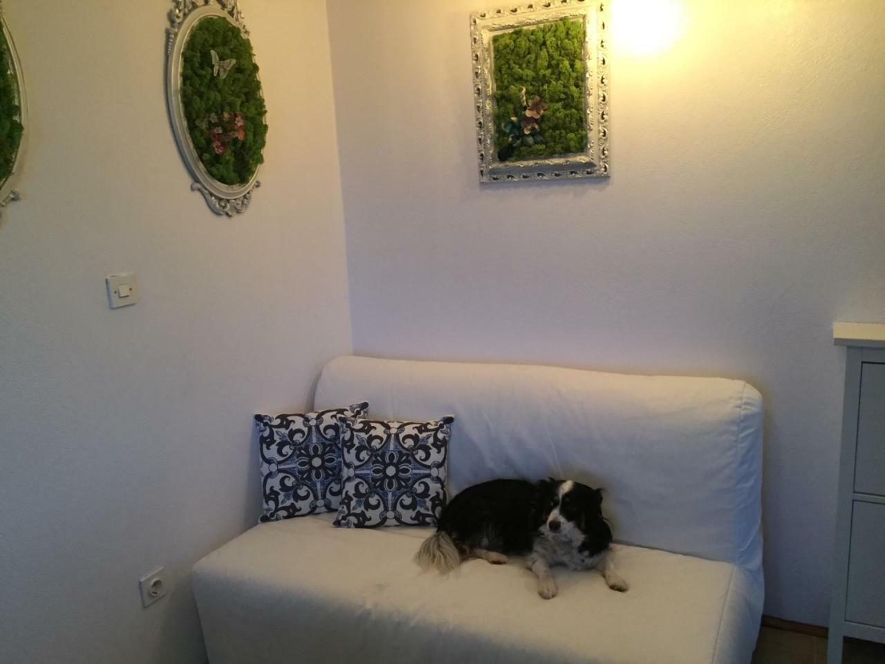 Boba'S House Apartman Sutivan Kültér fotó